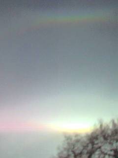 view of haloes