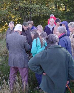 identifying sedges